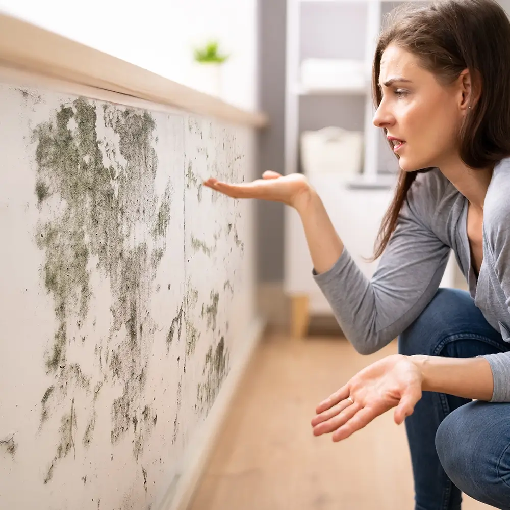 The Importance of Professional Mold Removal in New York