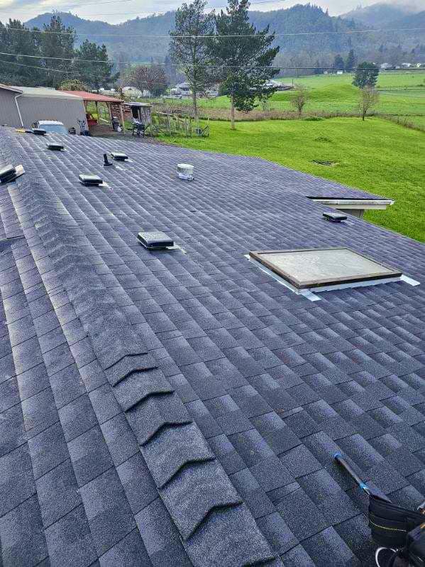 Top Signs Your Roof Needs Immediate Repair or Replacement to Avoid Structural Damage